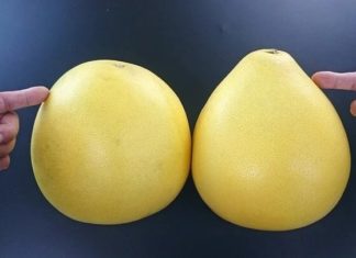 Which is Better: Pointed or Round Pomelo to Buy?