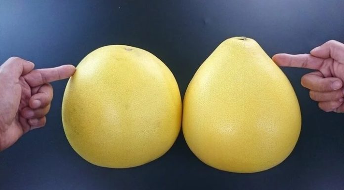 Which is Better: Pointed or Round Pomelo to Buy?