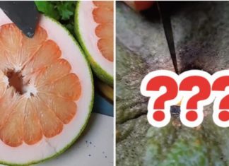 Buy grapefruit without trying to cut it open, just look at this point to know that the grapefruit is delicious, thin skin and most juicy.