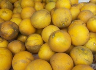 Experience the Deliciousness of Pomelo! How to Choose and Buy the Perfect Pomelo