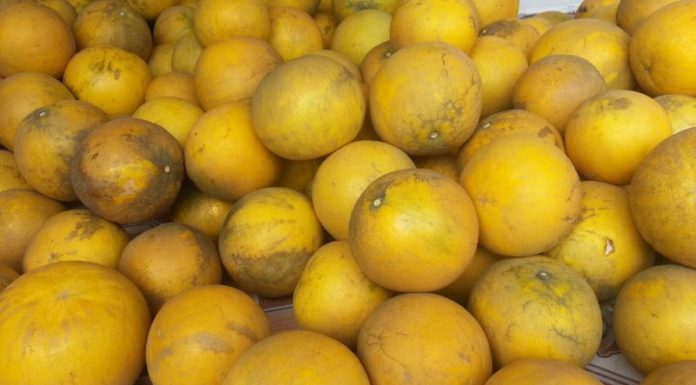 Experience the Deliciousness of Pomelo! How to Choose and Buy the Perfect Pomelo