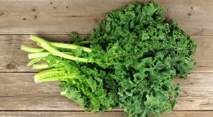 Vegetable with more calcium than eggs and milk, easy to grow at home but few people know about it.