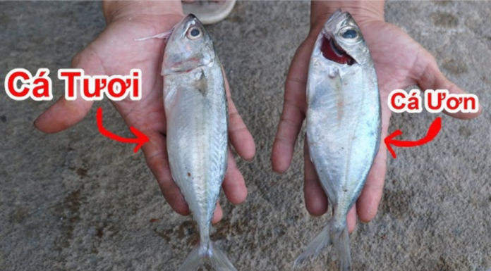 5 Types of Fish You Should Never Buy, Throw Them Away When You Spot Them in the Market