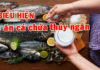The most mercury-rich fish, don’t buy it at the market no matter how cheap it is.
