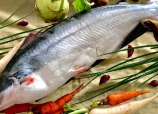 Exquisite Specialty Fish: Savor the Fragrant Flavor Like Pineapple with a Jaw-Dropping Price of Nearly 1 Million VND per Kilogram and Always Sold Out