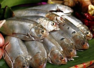Top Calcium-rich Fish, Cheaper than Salmon, as Nutritious as Ginseng: Grab it at the Market Before it’s Gone
