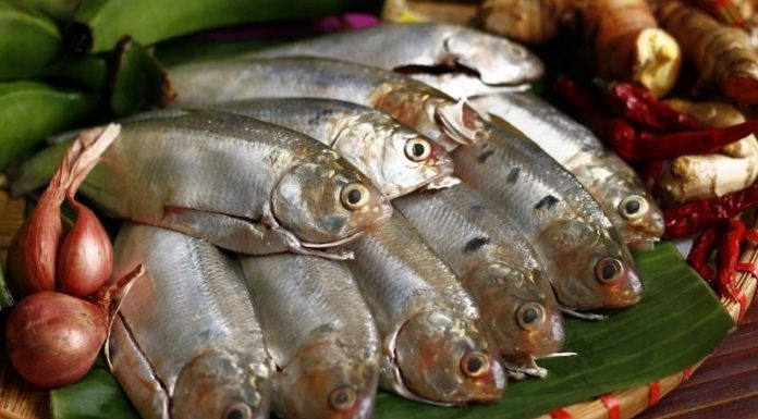 Top Calcium-rich Fish, Cheaper than Salmon, as Nutritious as Ginseng: Grab it at the Market Before it’s Gone