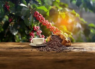 Two Timing Mistakes Coffee Experts Warns About, Make the Switch to This Golden Moment