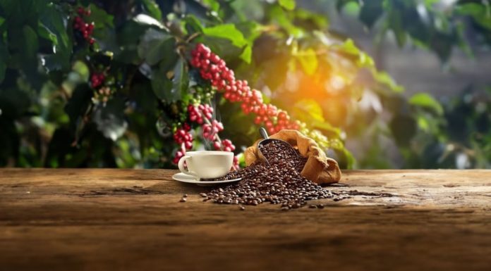 Two Timing Mistakes Coffee Experts Warns About, Make the Switch to This Golden Moment