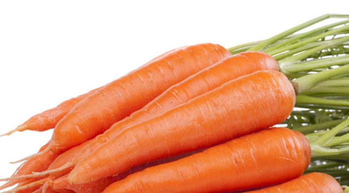 60% Decrease in Breast Cancer Risk by Eating Carrots