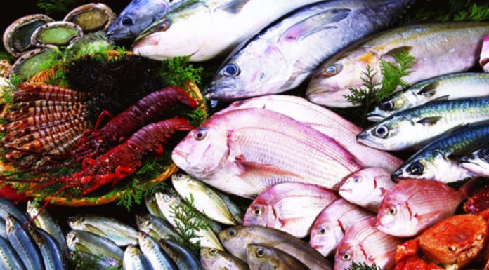 Nutritious Foods to Avoid During Pregnancy for a Safer Baby