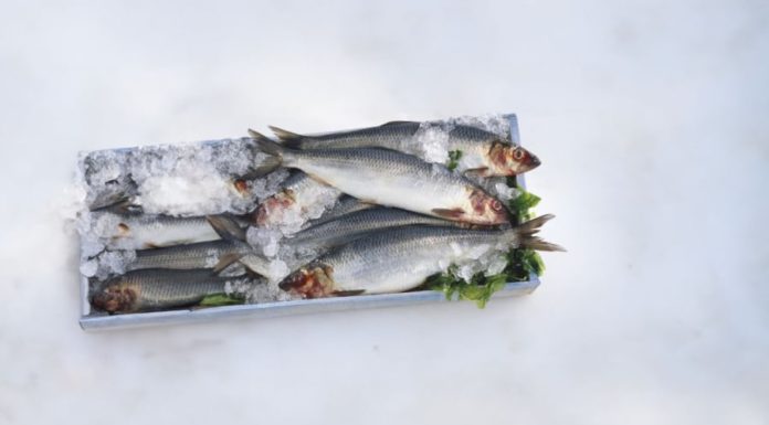 Vietnamese market offers a cheaper alternative to salmon with the same quality called “Vietnamese carp” which is not contaminated by mercury.