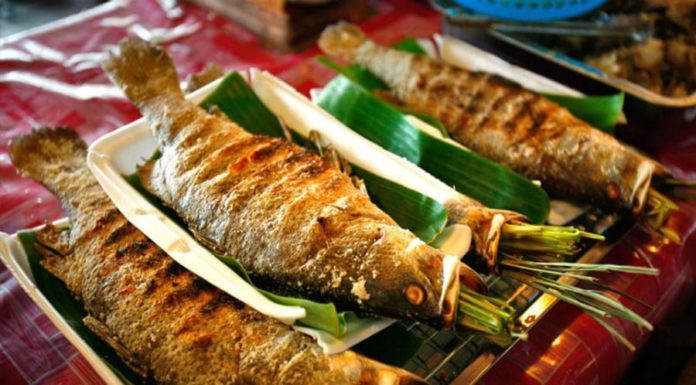 Best Fish to Eat During Winter for Effective Cough Relief and Nutritional Richness