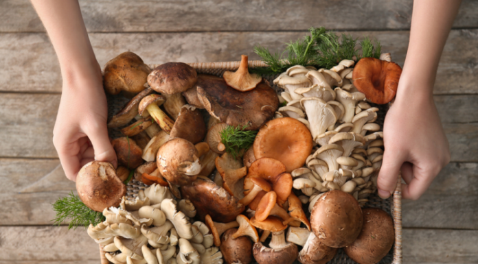 4 types of vegetables that you should always wash before eating, don’t skip this step to avoid potential health risks