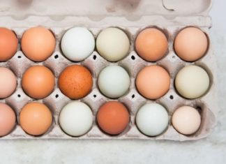 Red eggs or white eggs, which is better? 9 out of 10 people misunderstand