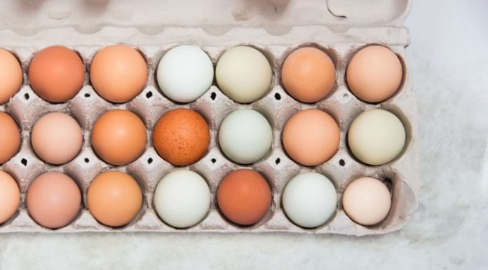 Red eggs or white eggs, which is better? 9 out of 10 people misunderstand