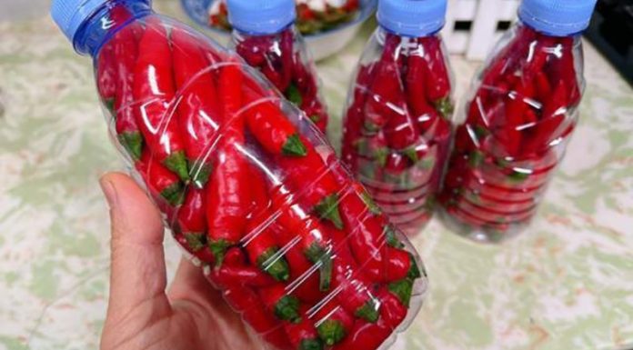 Simple tips for preserving chili peppers so they keep fresh for up to six months