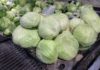 The ultimate guide to selecting fresh, tightly packed and affordable cabbage