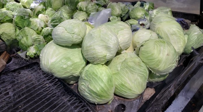 The ultimate guide to selecting fresh, tightly packed and affordable cabbage