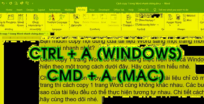 Copy a Word page on Windows and Mac – simple but essential