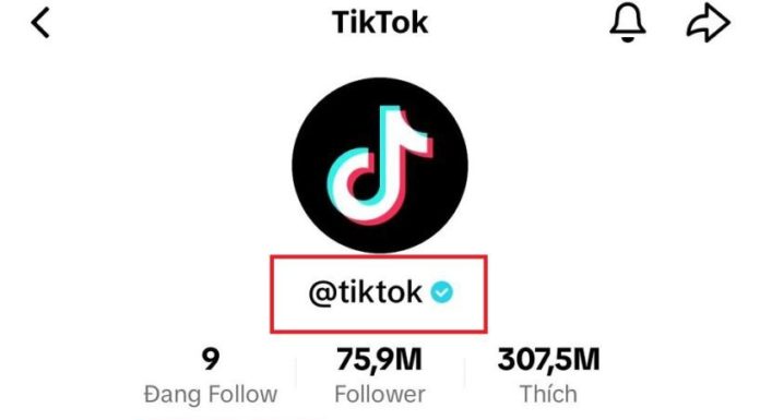 Change your TikTok ID in less than 30 days on your phone with just 30 seconds of simple steps