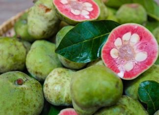 Rare and Delicious: The Exquisite and Elusive Fruits of Yesteryear