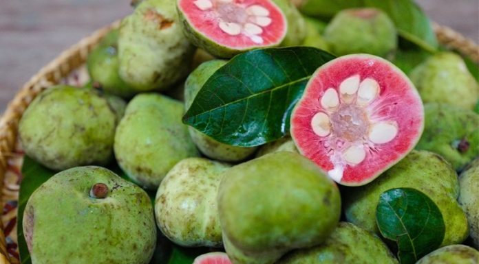 Rare and Delicious: The Exquisite and Elusive Fruits of Yesteryear