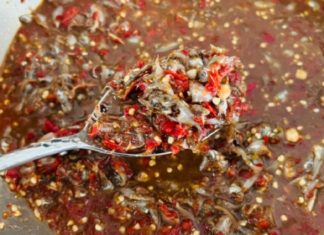 Tiny fish type referred to as ‘heavenly treasure’ — locals use baskets to catch them when they come in season