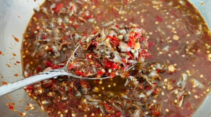 Tiny fish type referred to as ‘heavenly treasure’ — locals use baskets to catch them when they come in season