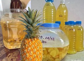 Ha Tinh girl reveals the secret of making “miracle water” from coconut shells, the more you water, the better the plant grows