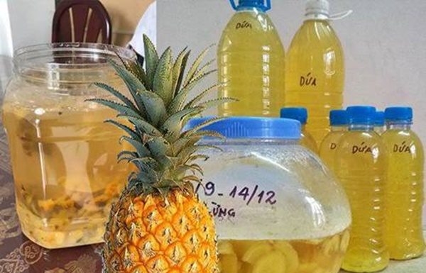 Ha Tinh girl reveals the secret of making “miracle water” from coconut shells, the more you water, the better the plant grows