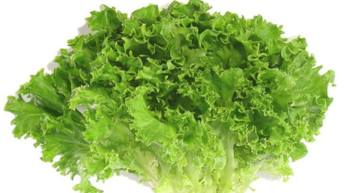 A sleep aid and fat-burning ‘Phoenix Tail’ vegetable can be found at the market