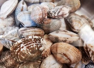 The Ultimate Guide to Clam Cleaning: A Spotless, Sand-Free Soak