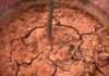 Solid, Cracked Plant Soil – Water with Yellow Liquid Once a Week, Loamy like Bread