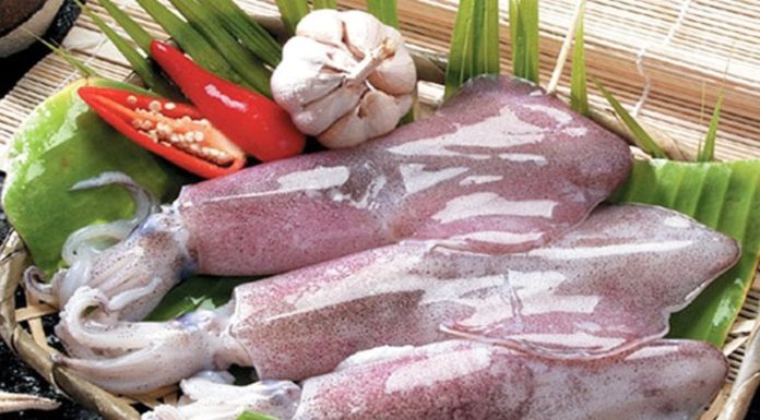 How to tell the difference between fresh and frozen ink? Foodies reveal 3 super simple ways.