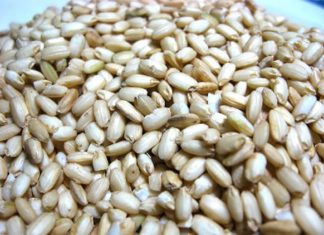 Remember these 3 things and never worry about sour or hard rice again, even if you’re a clumsy cook.