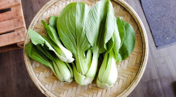 Vegetable with 7 times more calcium than bone broth: The natural heart tonic, cholesterol buster, and effective anti-aging remedy.