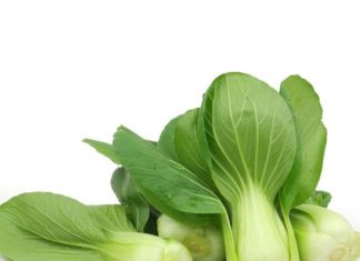 Don’t settle for blandly prepared crickets, learn this technique to make a sauce that everyone will love