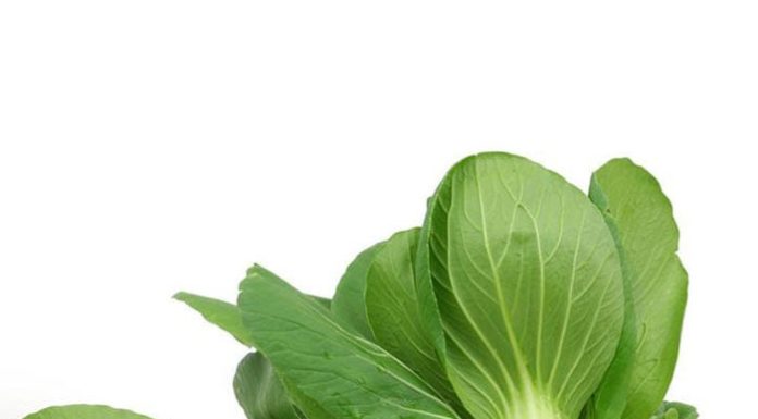 Don’t settle for blandly prepared crickets, learn this technique to make a sauce that everyone will love