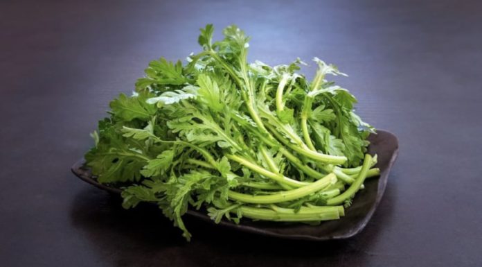 Delicious winter vegetables with 10x the benefits of dandelion tea, don’t miss out!
