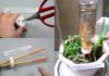 Stick Two Chopsticks into a Plastic Bottle for Incredible Benefits – A Must-Know Trick for Every Household