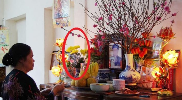 Flower arrangement on wealth altar to dispel family disputes, is it true?