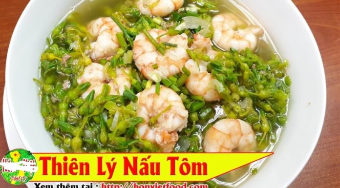 5 Affordable and Healthy Iron-Rich Soups: Don’t Miss Out on These Great Options!