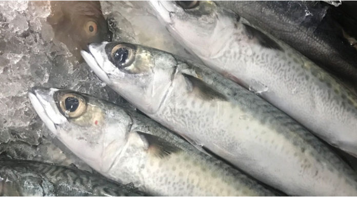 Don’t rush to store the catfish, add this to make the meat tender, not fishy, and endlessly delicious