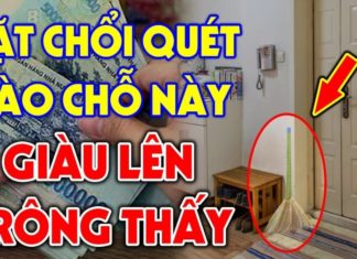 Cleansing the Broom at 3 Different Places: Where Does Prosperity Flow?