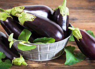 “The king of vegetables, available cheaply and abundantly at the market, is now being grilled to perfection for a delicious and nutritious meal”