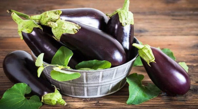 “The king of vegetables, available cheaply and abundantly at the market, is now being grilled to perfection for a delicious and nutritious meal”