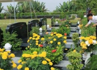 Elderly’s advice: ‘Don’t plant before the grave, don’t leave anything on the bed’, descendants should remember carefully