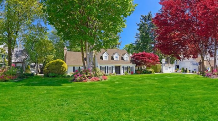 Ancestral instructions for wealth, happiness, and peace in the family: 3 key signs.