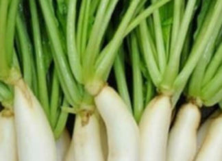 The leaves of this tree are more valuable than ginseng, with calcium content three times higher than milk, but they are often discarded, what a waste!